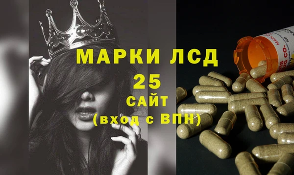 стаф Балахна