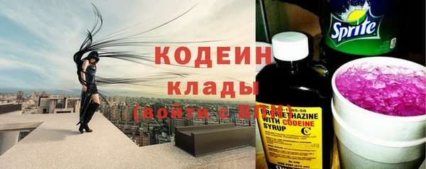 ГАЛЛЮЦИНОГЕННЫЕ ГРИБЫ Вяземский