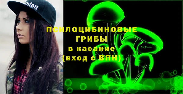 ГАЛЛЮЦИНОГЕННЫЕ ГРИБЫ Вяземский
