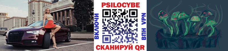 Галлюциногенные грибы Psilocybine cubensis  Чишмы 